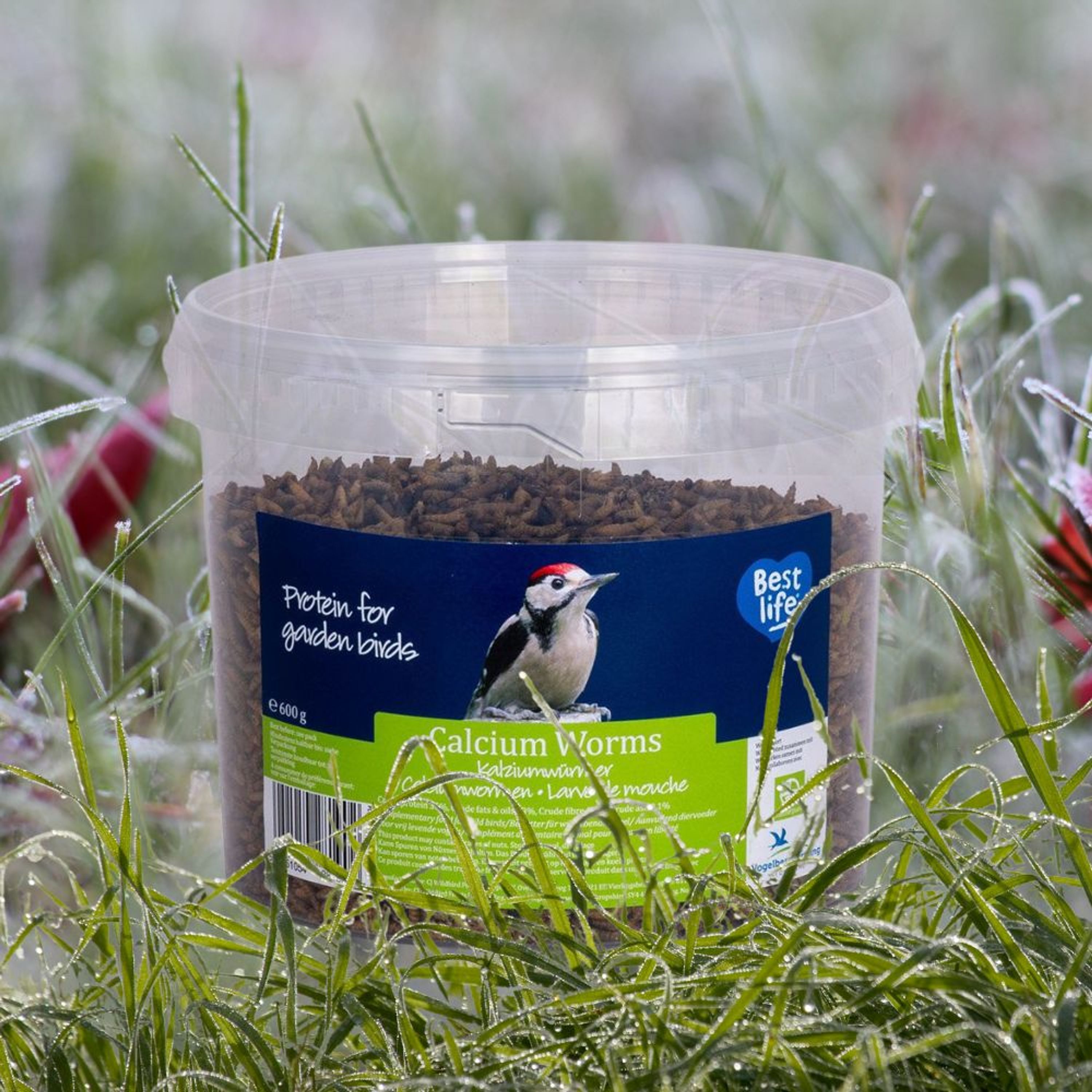 Eimer mit getrockneten Kalziumwürmern 600 g | Vogelfutter | CJ Wildlife