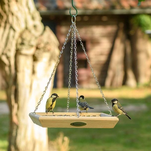 National Trust Hanging Table and Mealworms Starter Bundle