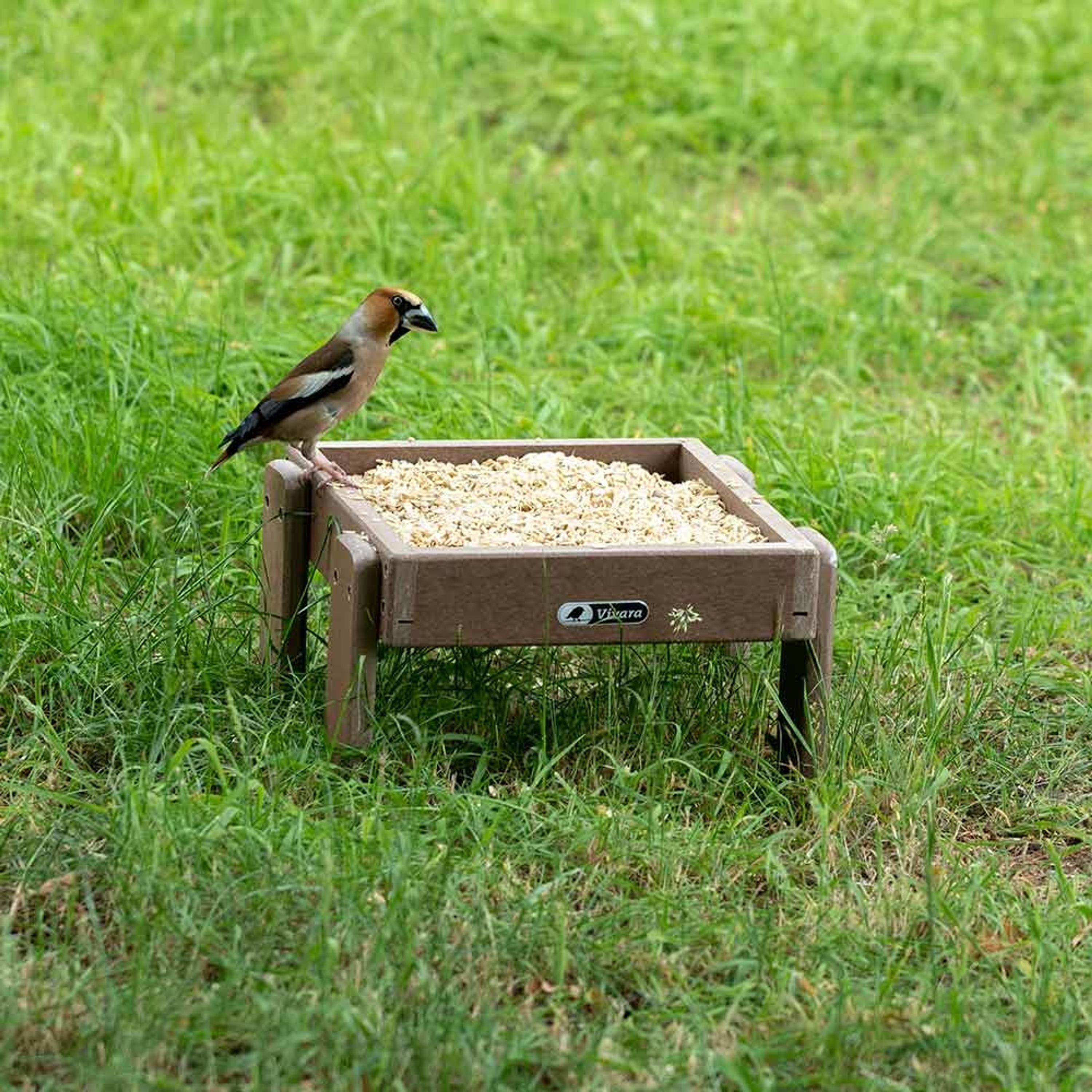 Premium Fettfutter mit Mehlwürmern 2,5 kg | Vogelfutter | CJ Wildlife