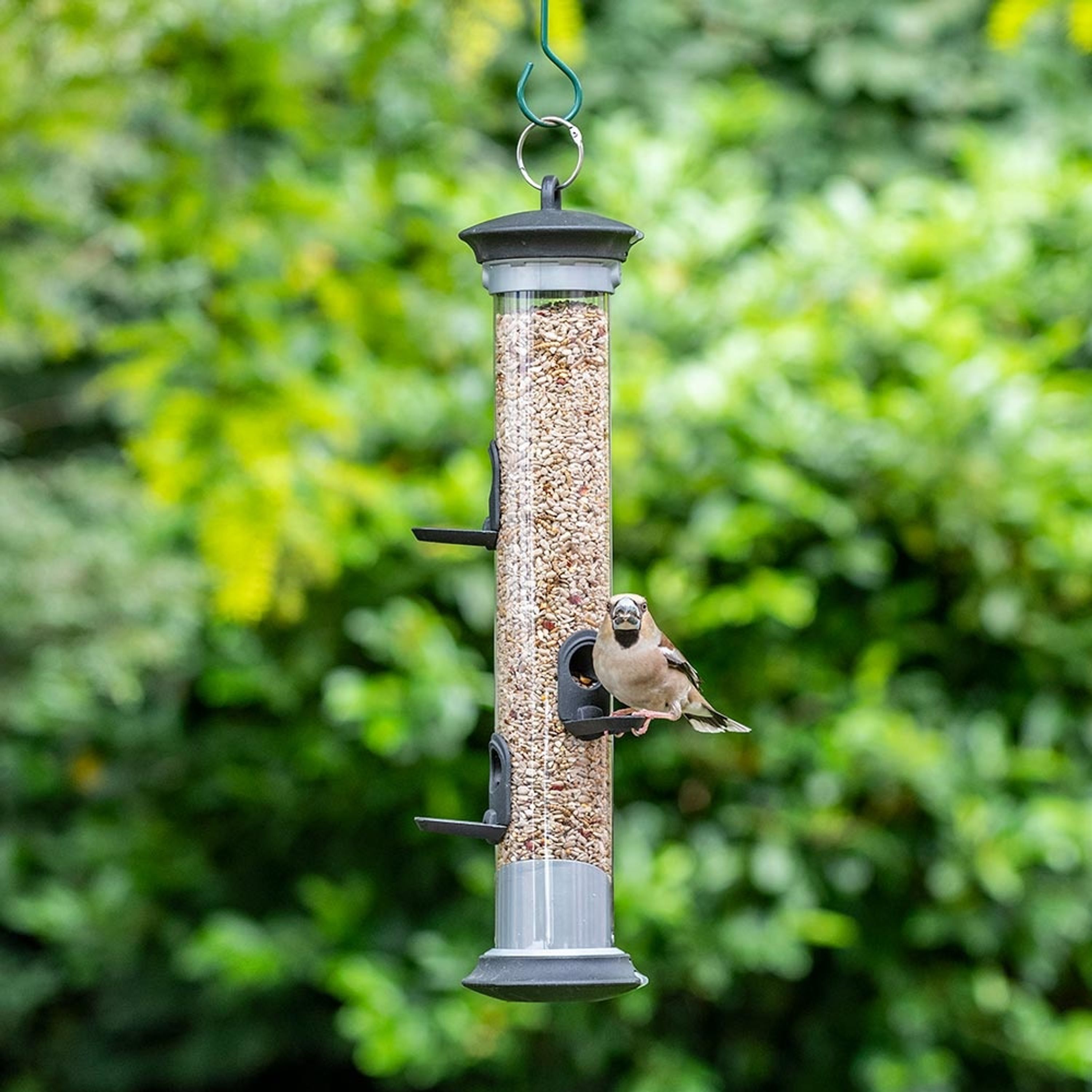 Beginnen Met Vogels Voeren - Pakket C - Silo Inclusief Voedermix | Vogelvoer | Vivara