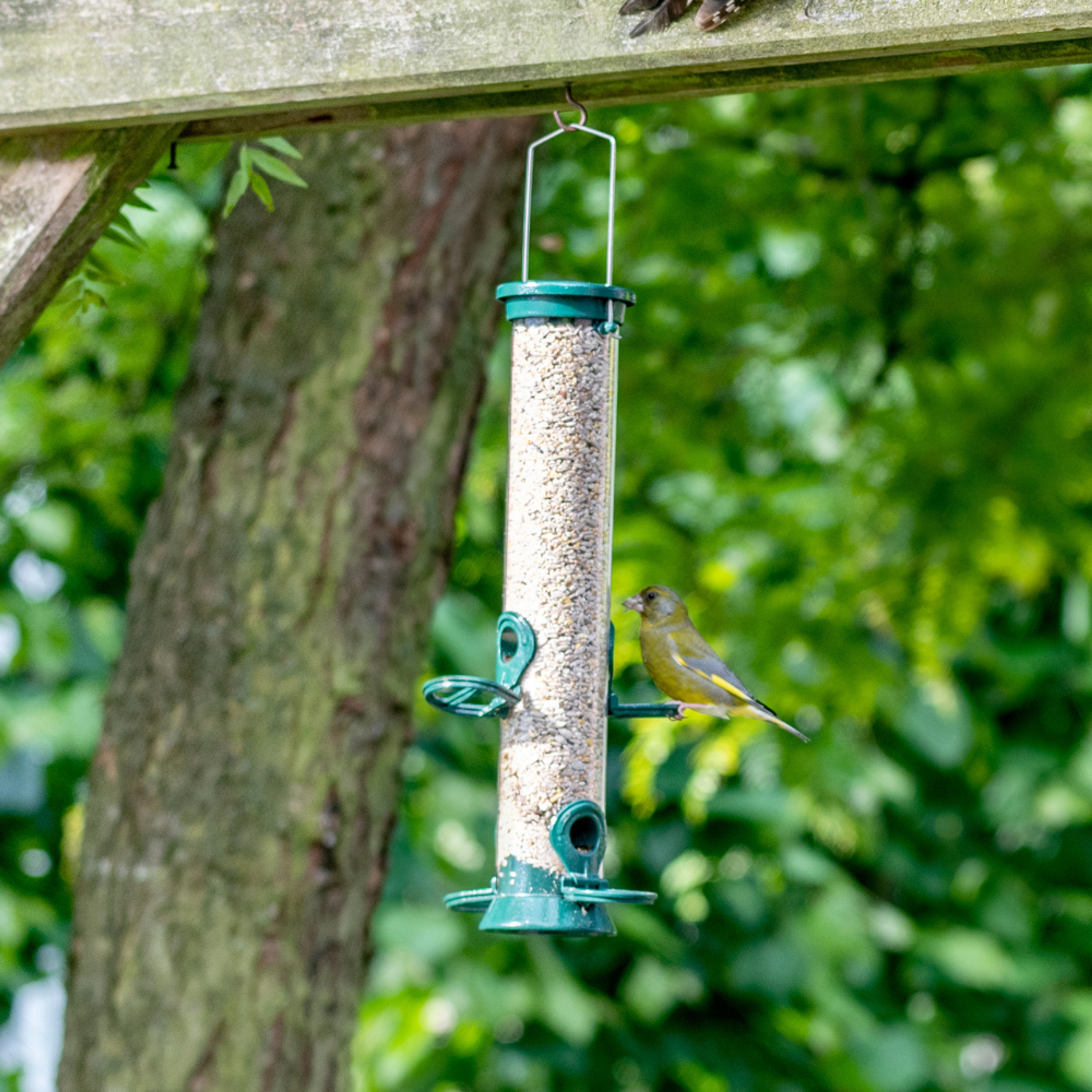 Voedersilo Defender Metaal 38 Cm Met 1kg Voer | Vogelvoer | Vivara