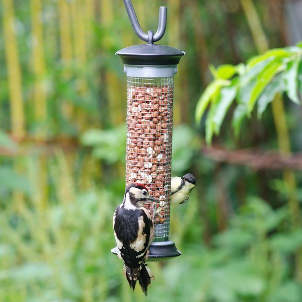 Gepelde pinda's 1 kg - Ons Schuurtje