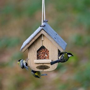 Jupiter pakket - voederhuis met pinda's