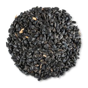 Green+ Schwarze Sonnenblumenkerne - 2,5 kg (biologischer Anbau)