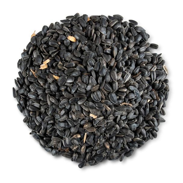 Organic Black Sunflower Bird Seeds 2.5kg