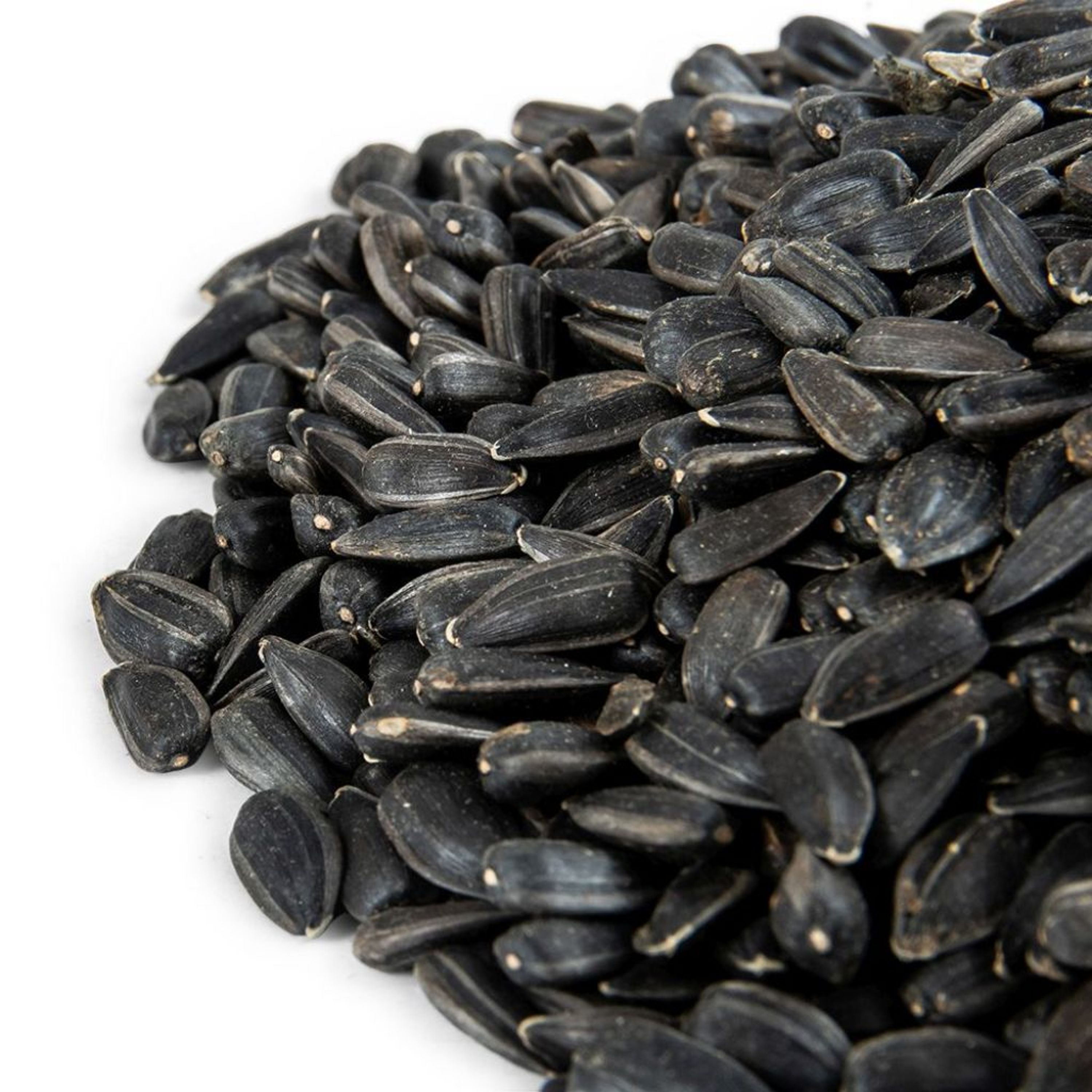 Green+ Schwarze Sonnenblumenkerne - 2,5 kg (biologischer Anbau) | Vogelfutter | CJ Wildlife