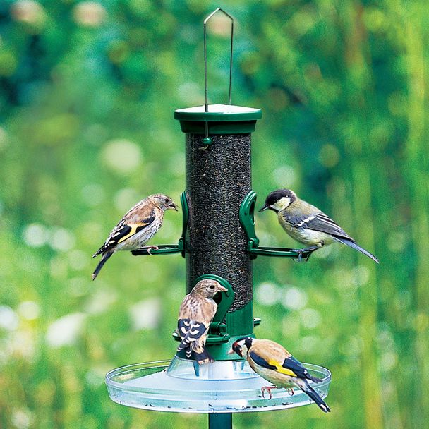 Komplettpaket "Nigersamen"