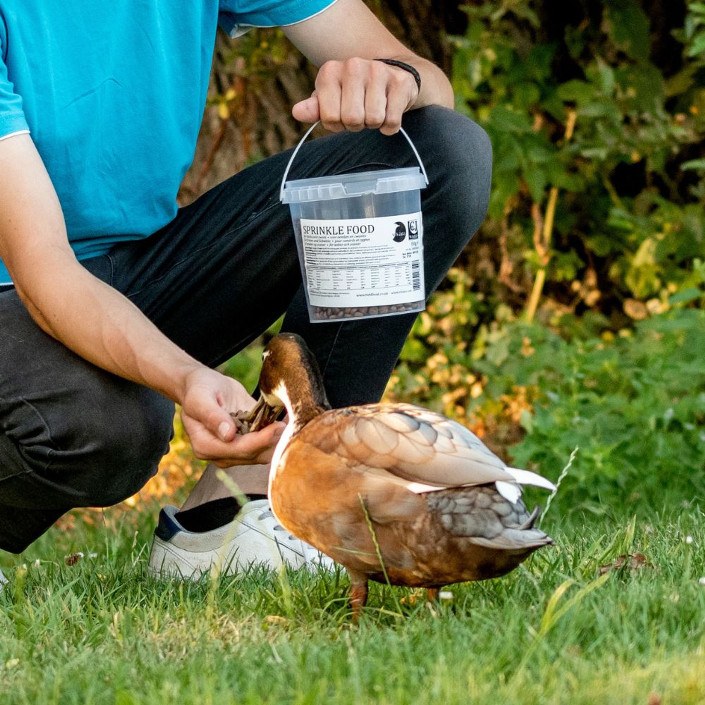 Streufutter für Enten und Schwäne 350 g | CJ Wildlife