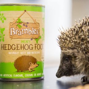 Brambles Meaty Hedgehog Food 400g