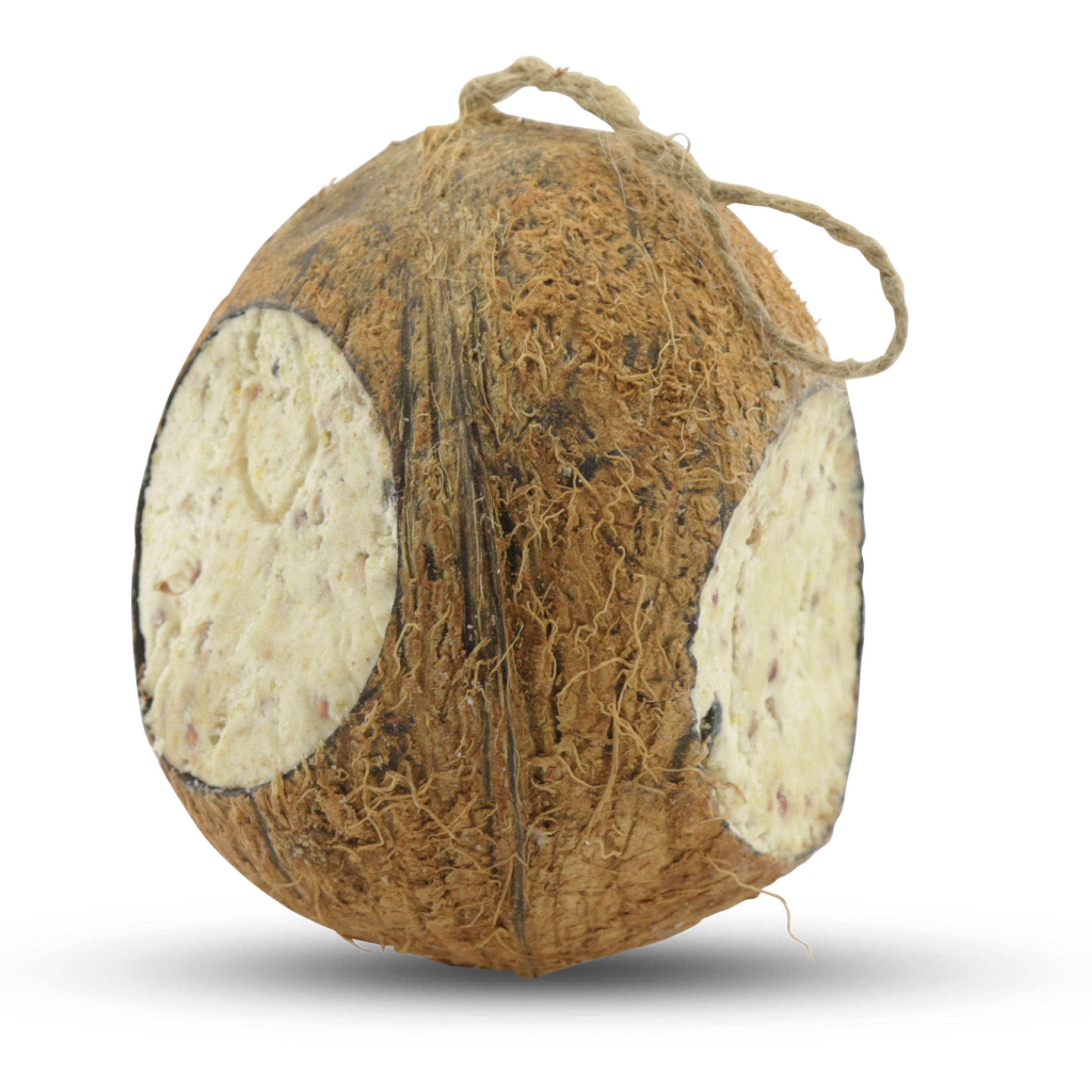 Meilleurs prix pour Noix de coco entière | CJ Wildlife