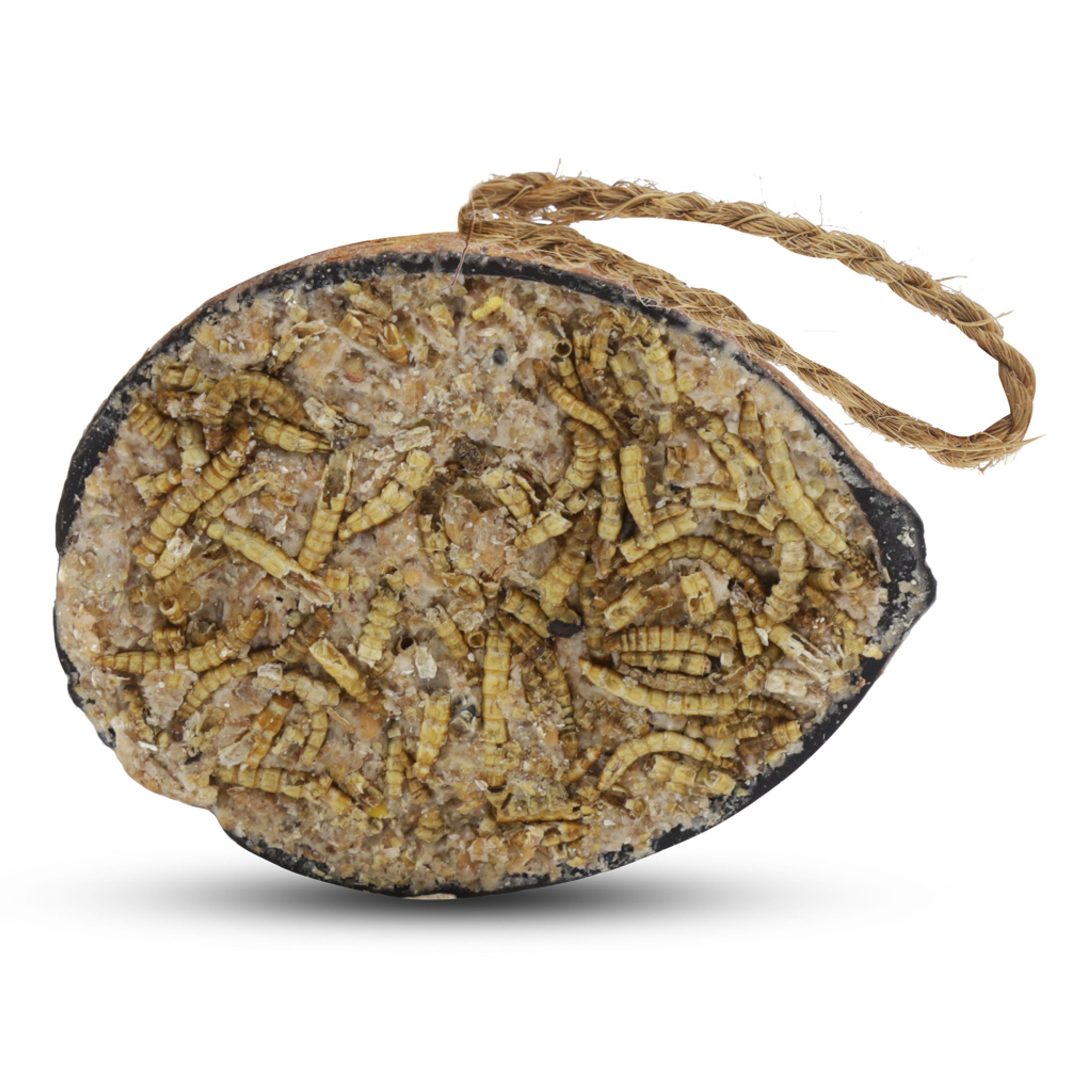 Halve kokosnoot met meelwormen | CJ Wildlife | Vogelvoer | Partner van Vogelbescherming Nederland