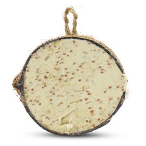 Gefüllte Kokosnuss mit Mehlwürmern und Insekten halb