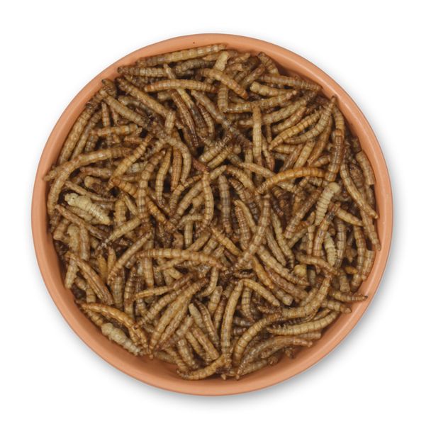 Dried Mealworm 2kg