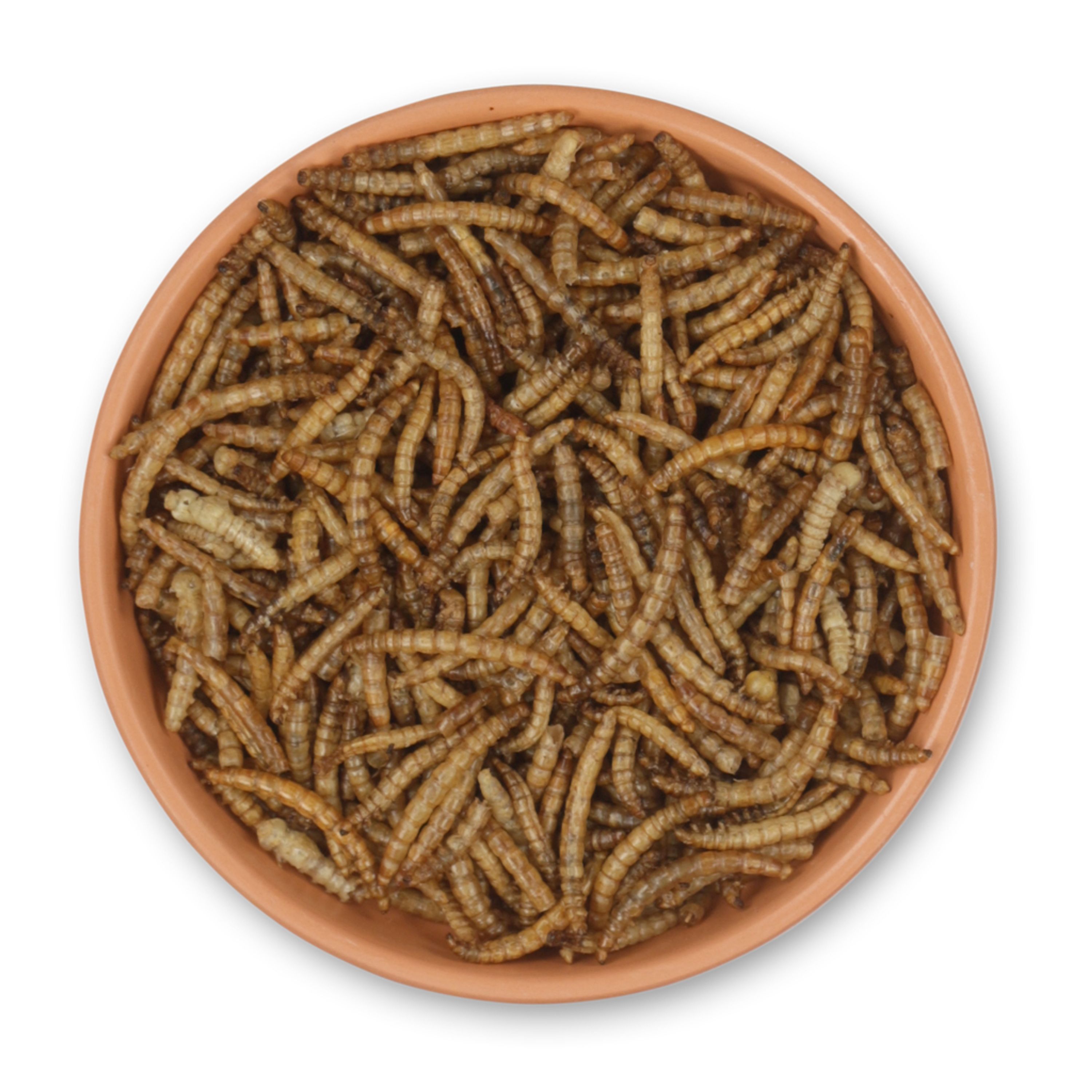 Gedroogde meelwormen 2kg | CJ Wildlife | Vogelvoer | Partner van Vogelbescherming Nederland