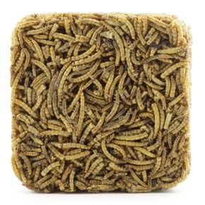 Energieblock aus getrockneten Mehlwürmern 90 g