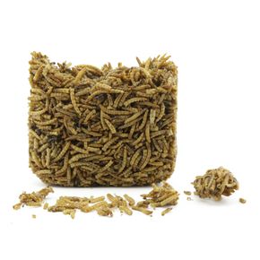 Energieblock aus getrockneten Mehlwürmern 90 g