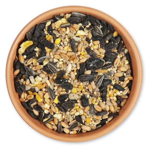 Friandise pour plateau premium