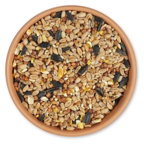Gifts4Nature Wild Bird Seed Mix 20kg