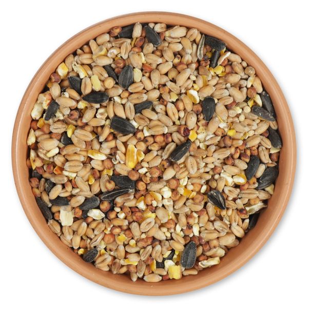 Gifts4Nature - 5 kg Streufutter für Gartenvögel - Hergestellt in Europa - 10,91 % Protein - Wildvogelfutter