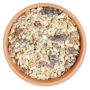 Graines & friandises pour rouges-gorges