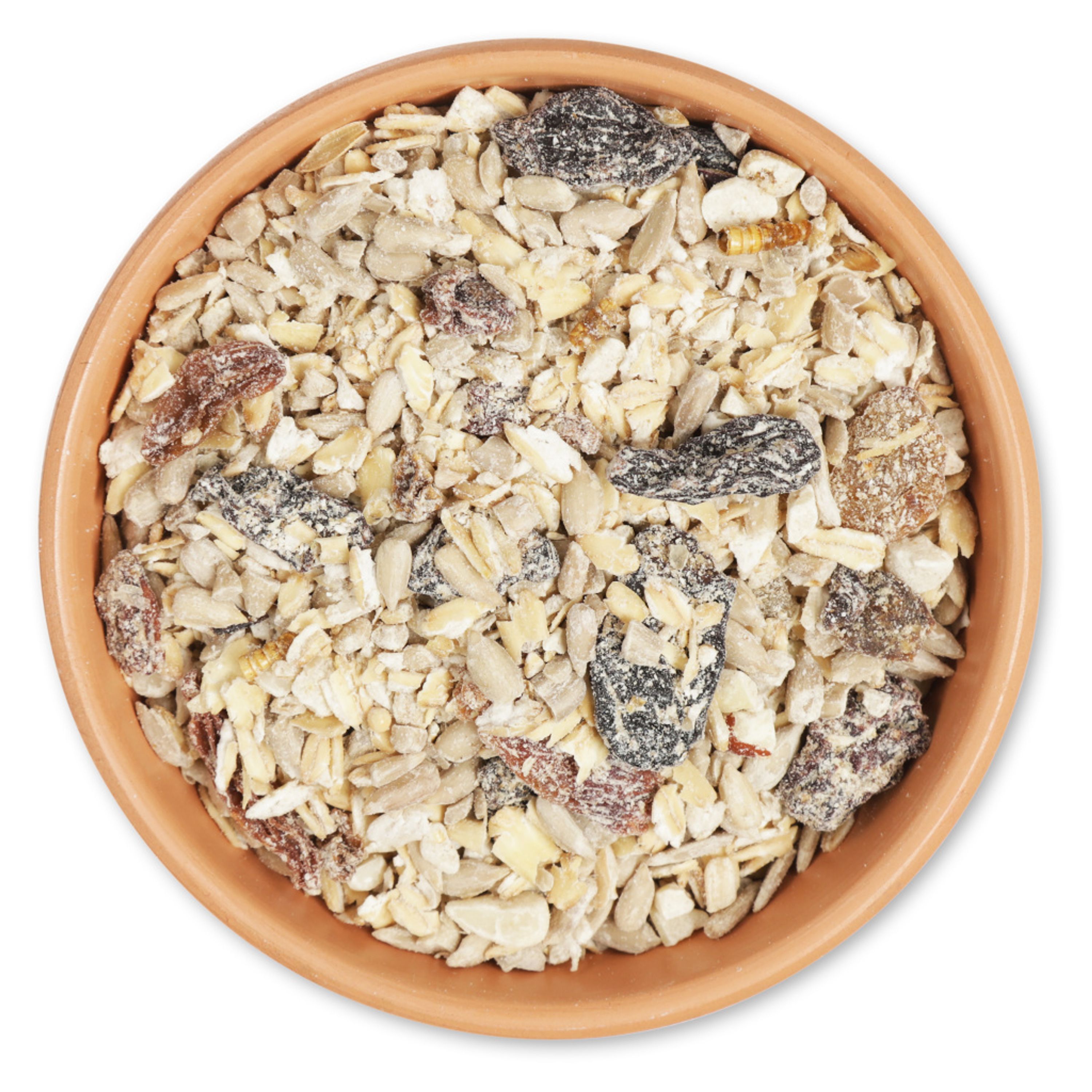 Meilleurs prix pour Friandise pour rouges-gorges 2,5 kg | Mélanges de graines | Nourriture Pour Oiseaux | Raisins secs | Insectes | Vivara