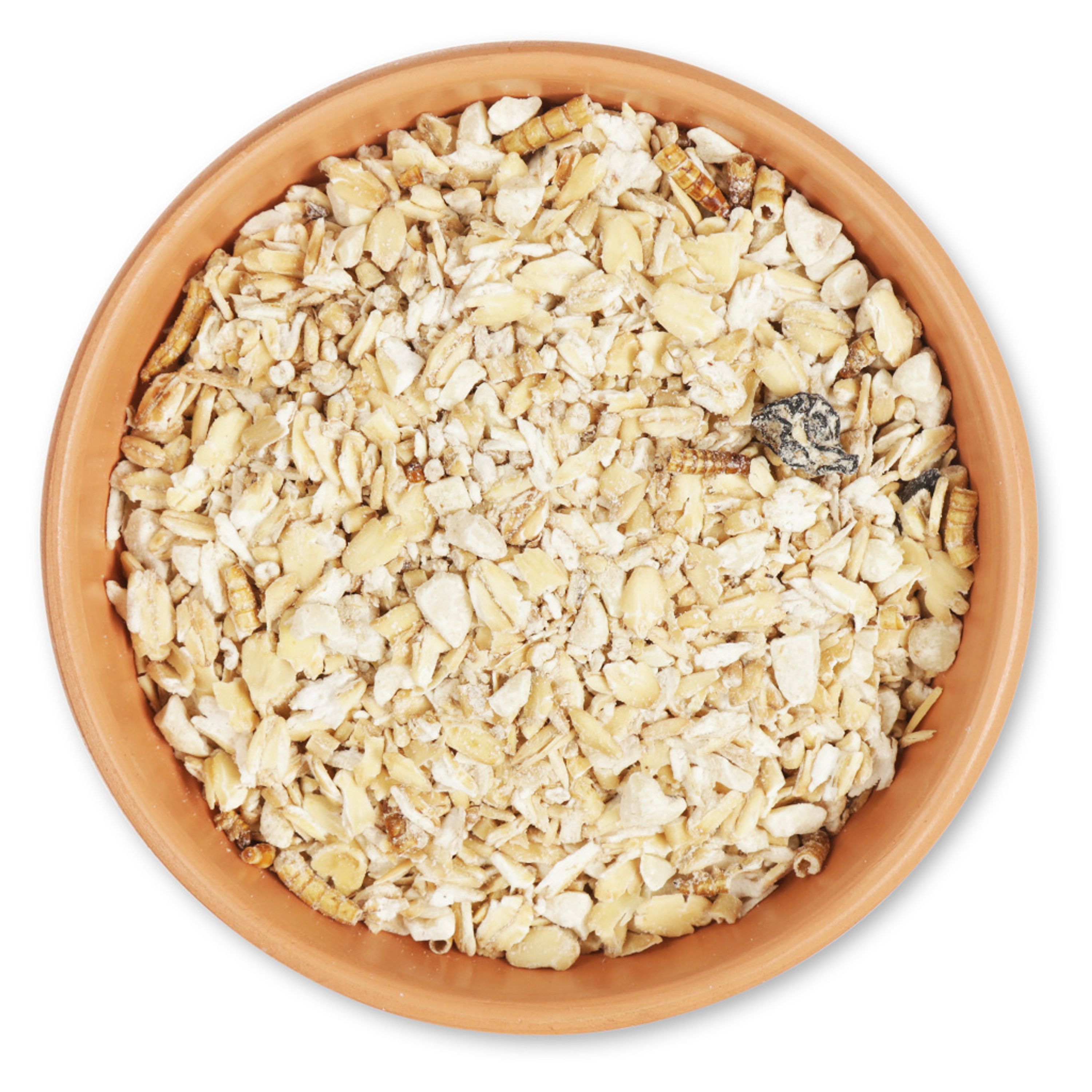 Comparer les prix de Muesli pour oiseaux avec vers de farine 2,5 kg pour oiseaux | Vers de farine | Nourriture Pour Oiseaux | Vivara