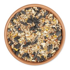 Mélange 4 saisons 2.5kg | Natagora