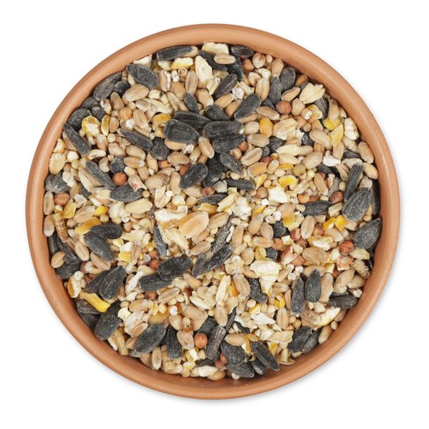 Mélange 4 saisons 2.5kg | Natagora