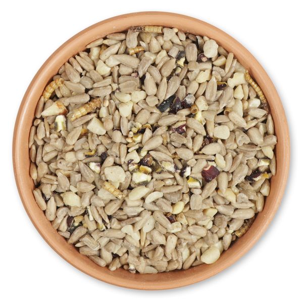 Hi-Energy Supreme Bird Seed Mix