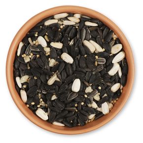 Mélange de graines pour silo premium