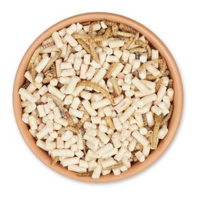 Mélange d'insectes riche en protéines 2.5kg