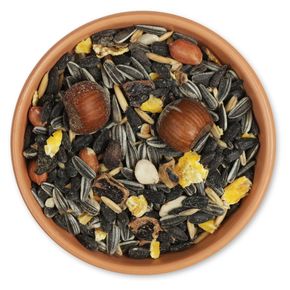 Eichhörnchen-Futtermischung 2 kg