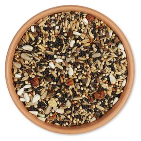 Mélange été premium pour oiseaux - 2kg