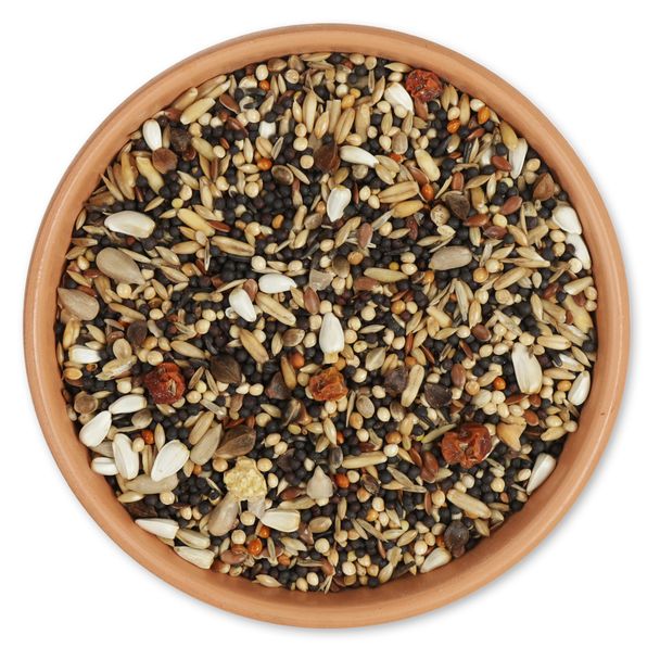 Premium Summer Bird Seed Mix 2kg