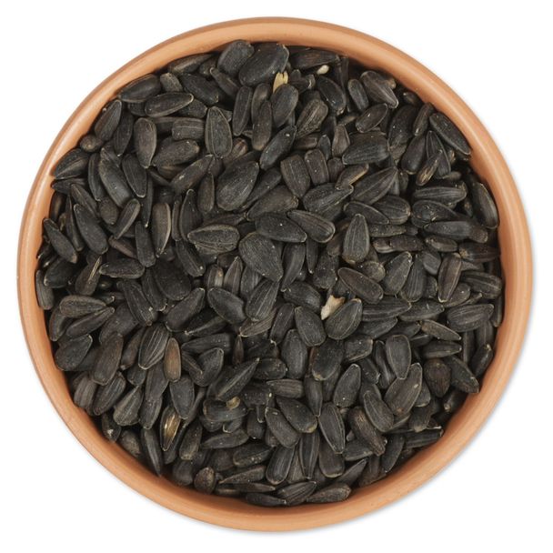 Black Sunflower Bird Seeds