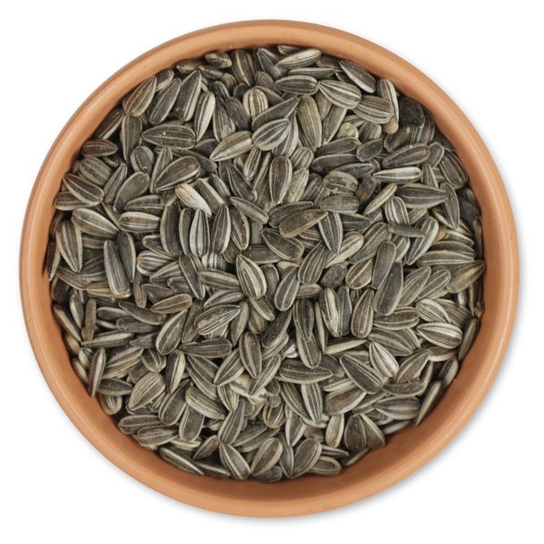 Gifts4Nature Striped Sunflower Seeds 20kg