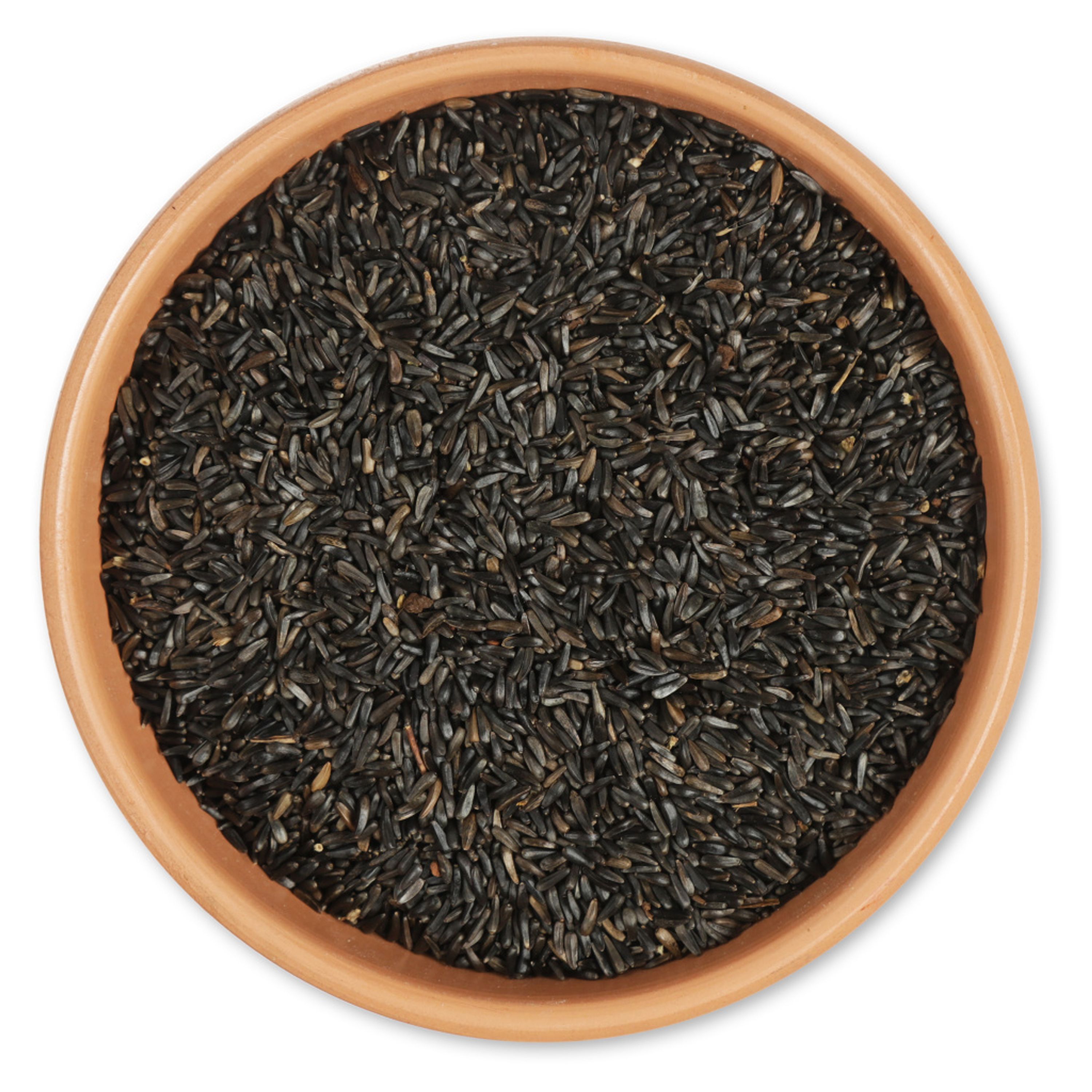 Niger-Samen 5kg | Vogelfutter | CJ Wildlife – CJ Wildlife