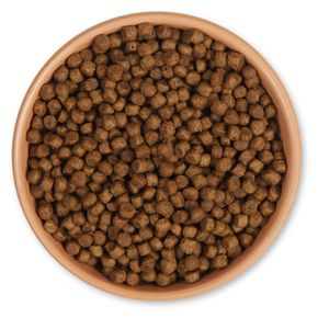 Premium Igel-Kraftfutter