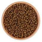 Croquettes prémium pour hérissons