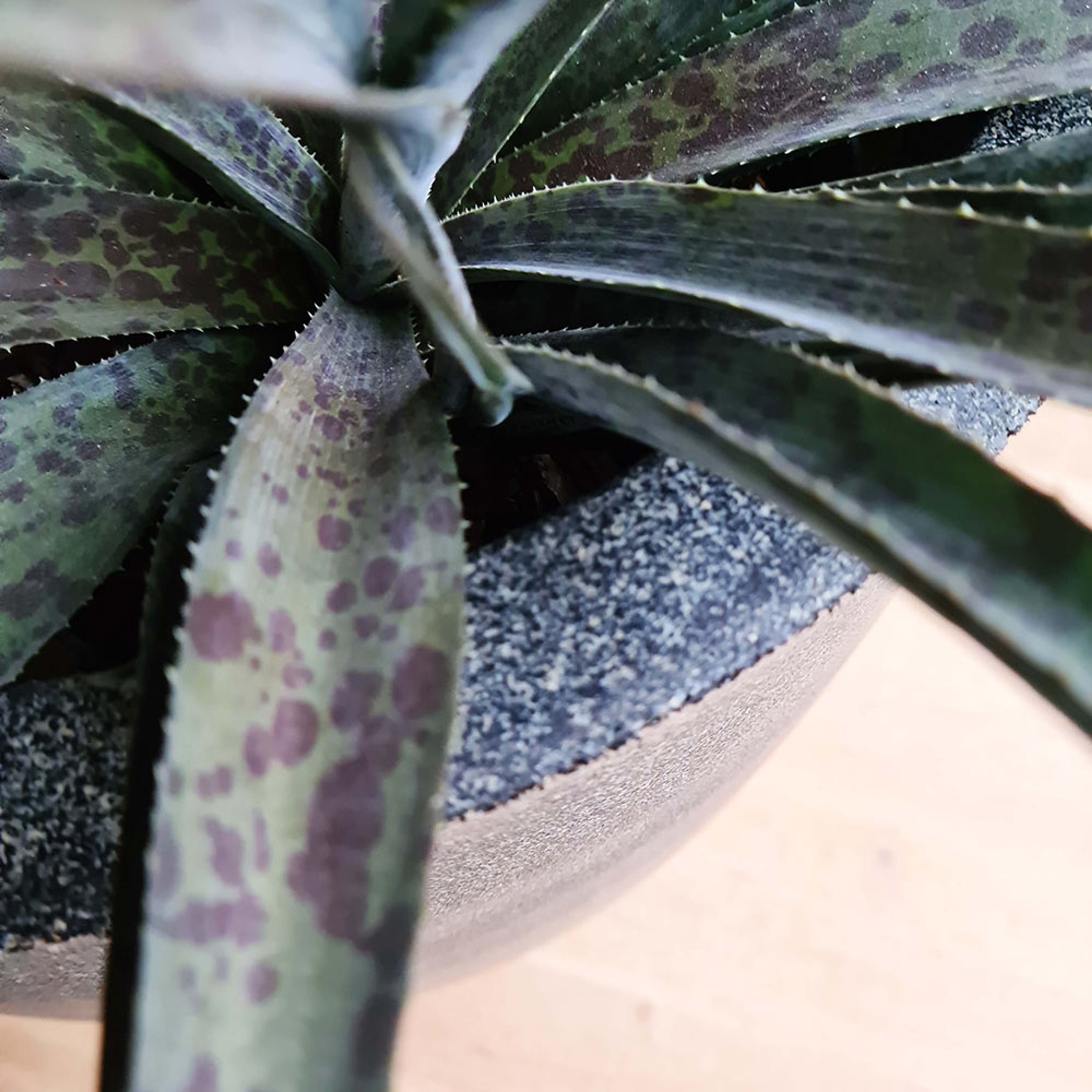 Capi Blumentopf, recycelt Ø43x41 cm | Capi