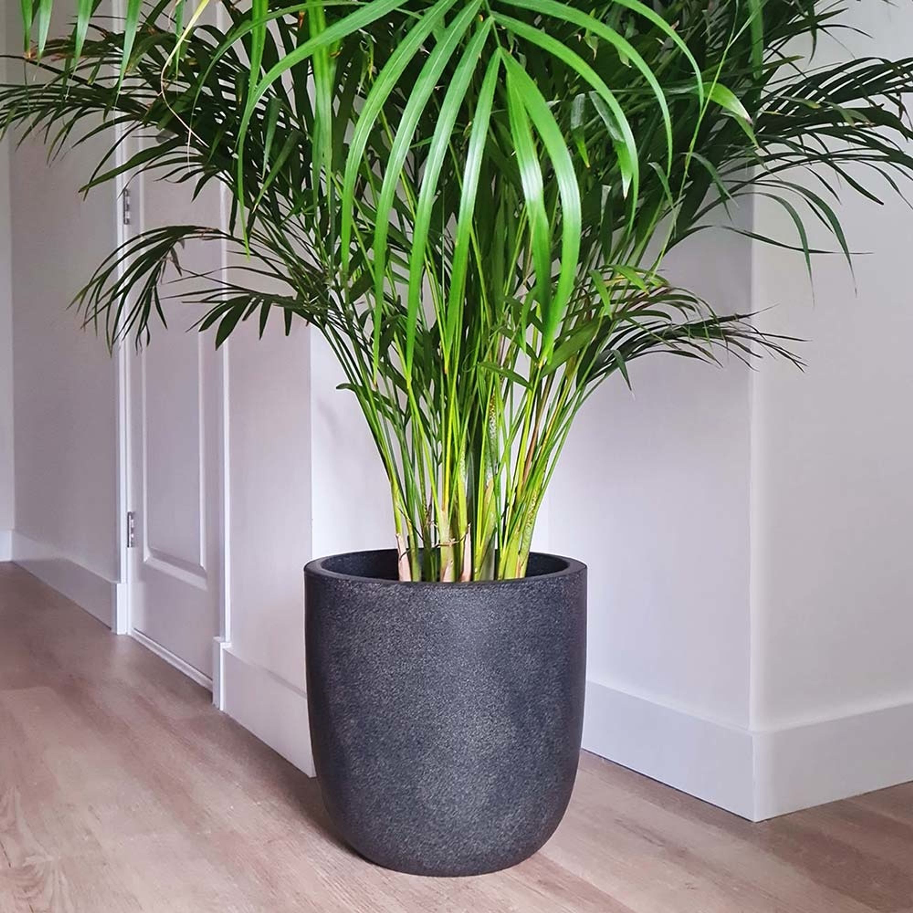 Meilleurs prix pour Pot de fleurs recyclé - 41 cm | Pots Plantes | Matiere Recyclé | Maison et jardin | Vivara