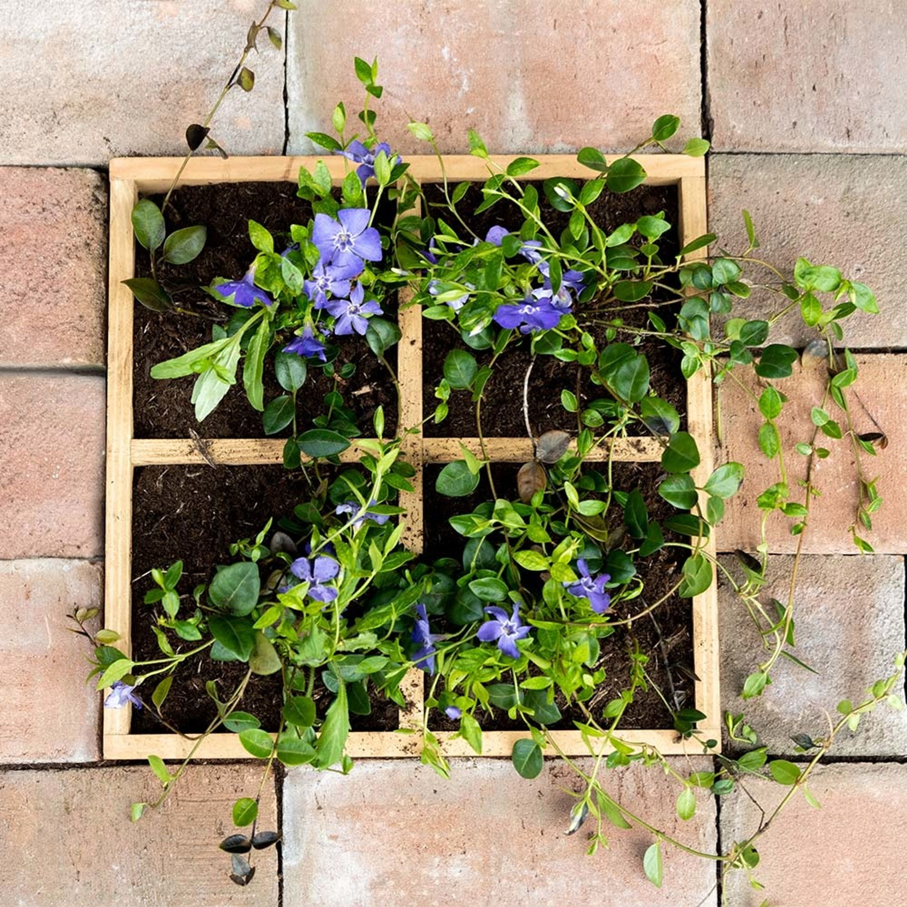 Pflanzgefäß aus Holz "Kachelgarten" | CJ Wildlife