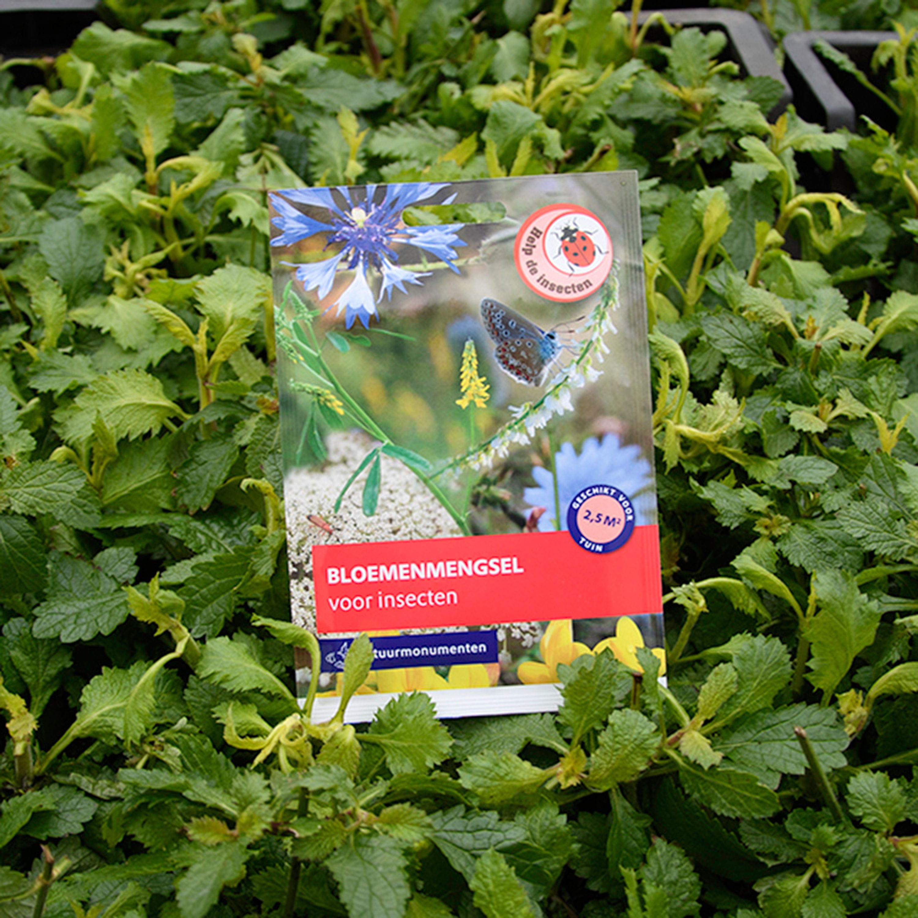 Natuurmonumenten zadenmix voor insecten (5g) | Natuurmonumenten