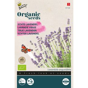 Organic True Lavender Seeds from Buzzy Seeds®