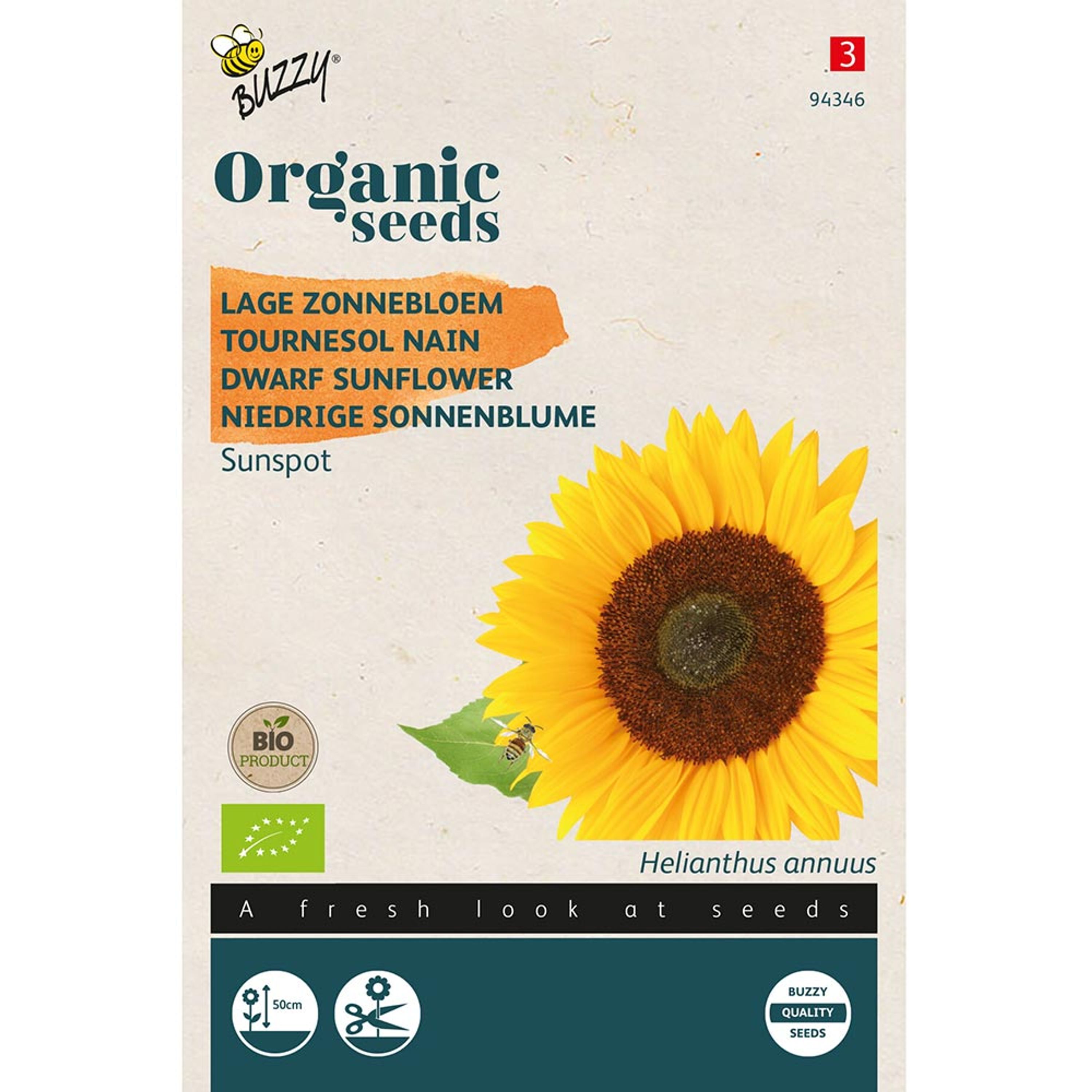 Organic Dwarf Sunflower Seeds - Sunspot from Buzzy Seeds(r)