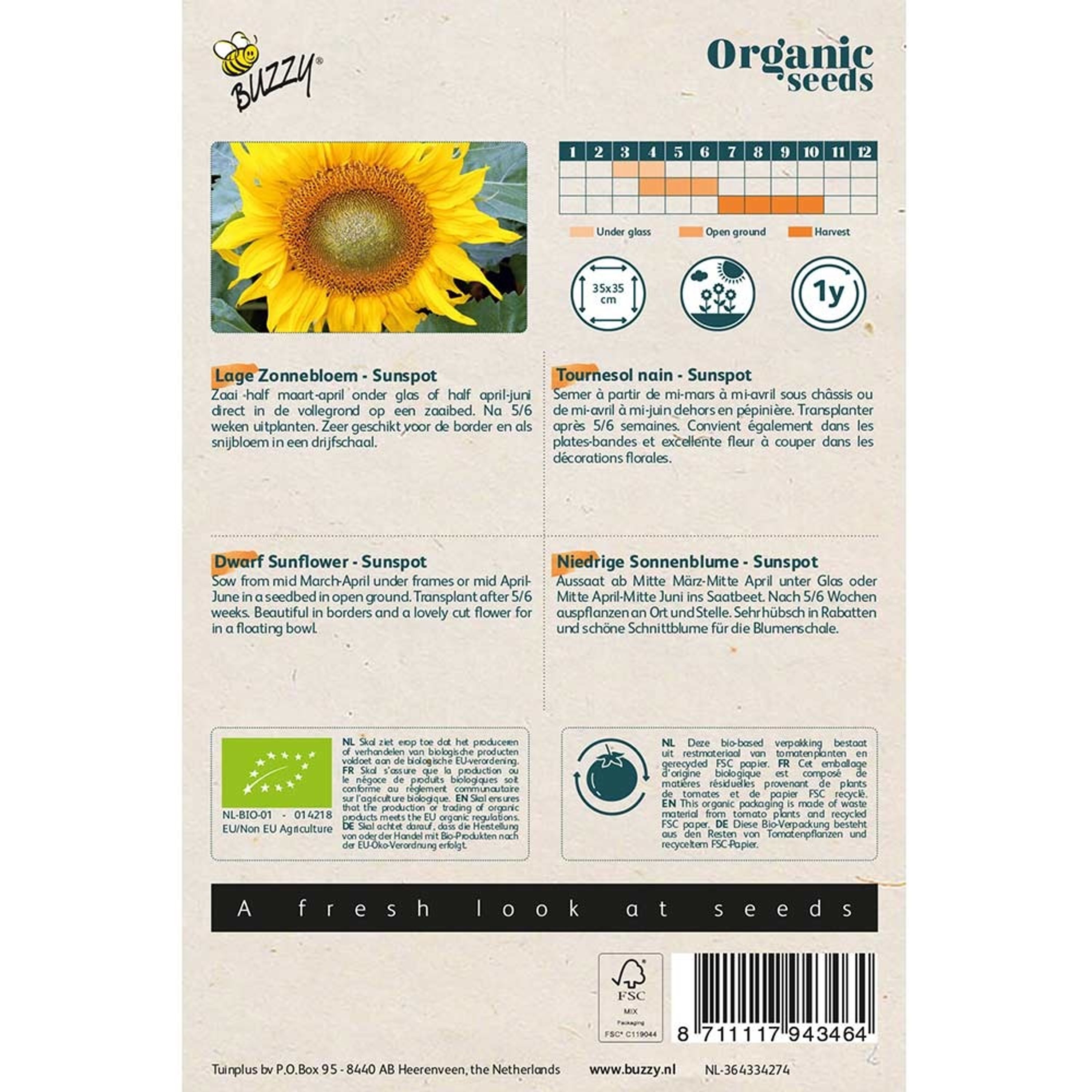 Buzzy® Organic Niedrige Sonnenblume Sunspot | Buzzy Bio Organic