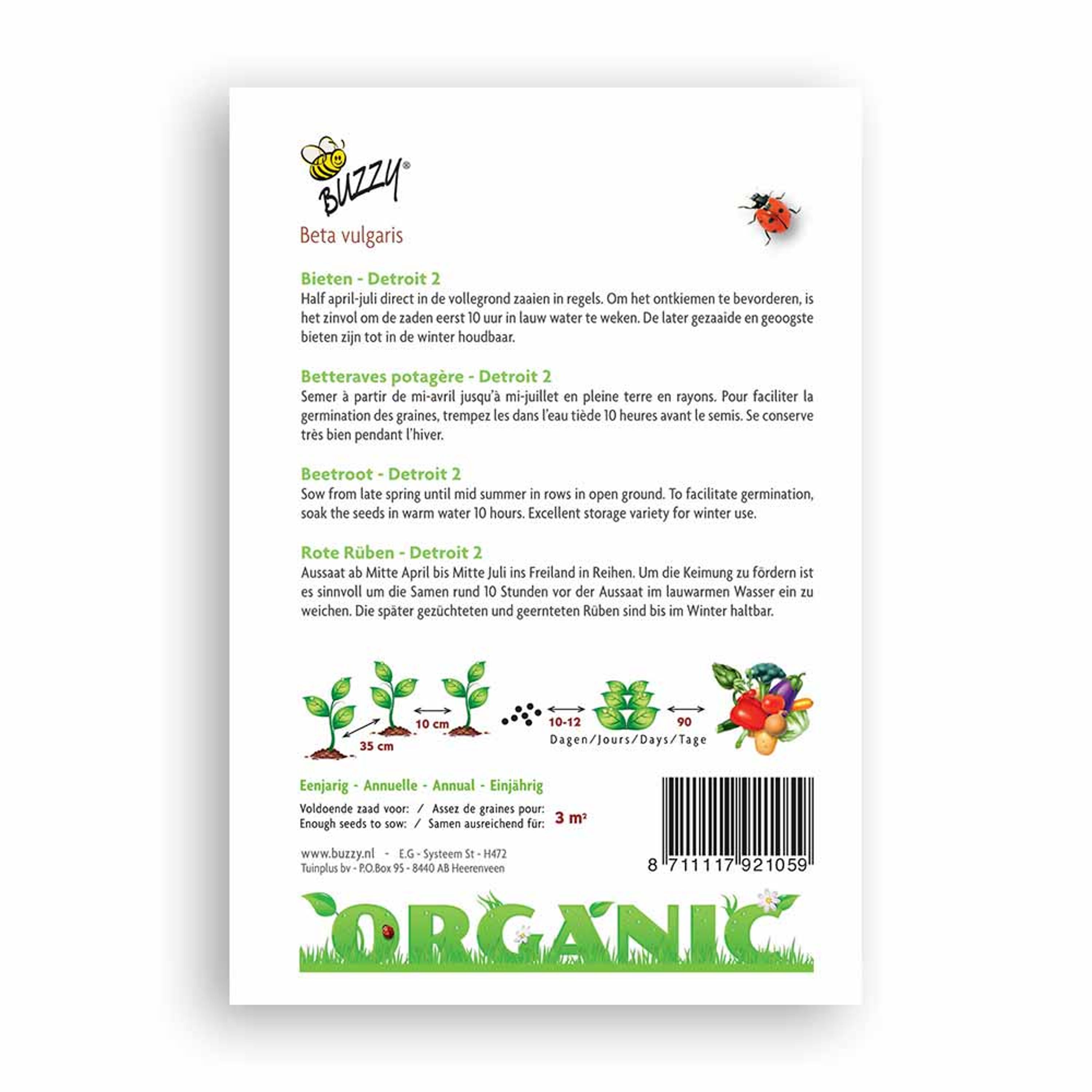 Buzzy® Organic Rote Rüben Detroit 2 (BIO) | Buzzy Bio Organic