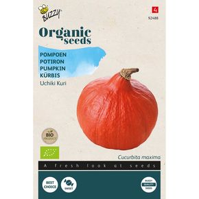 Organic Pumpkin Seeds - Uchiki Kuri from Buzzy Seeds®