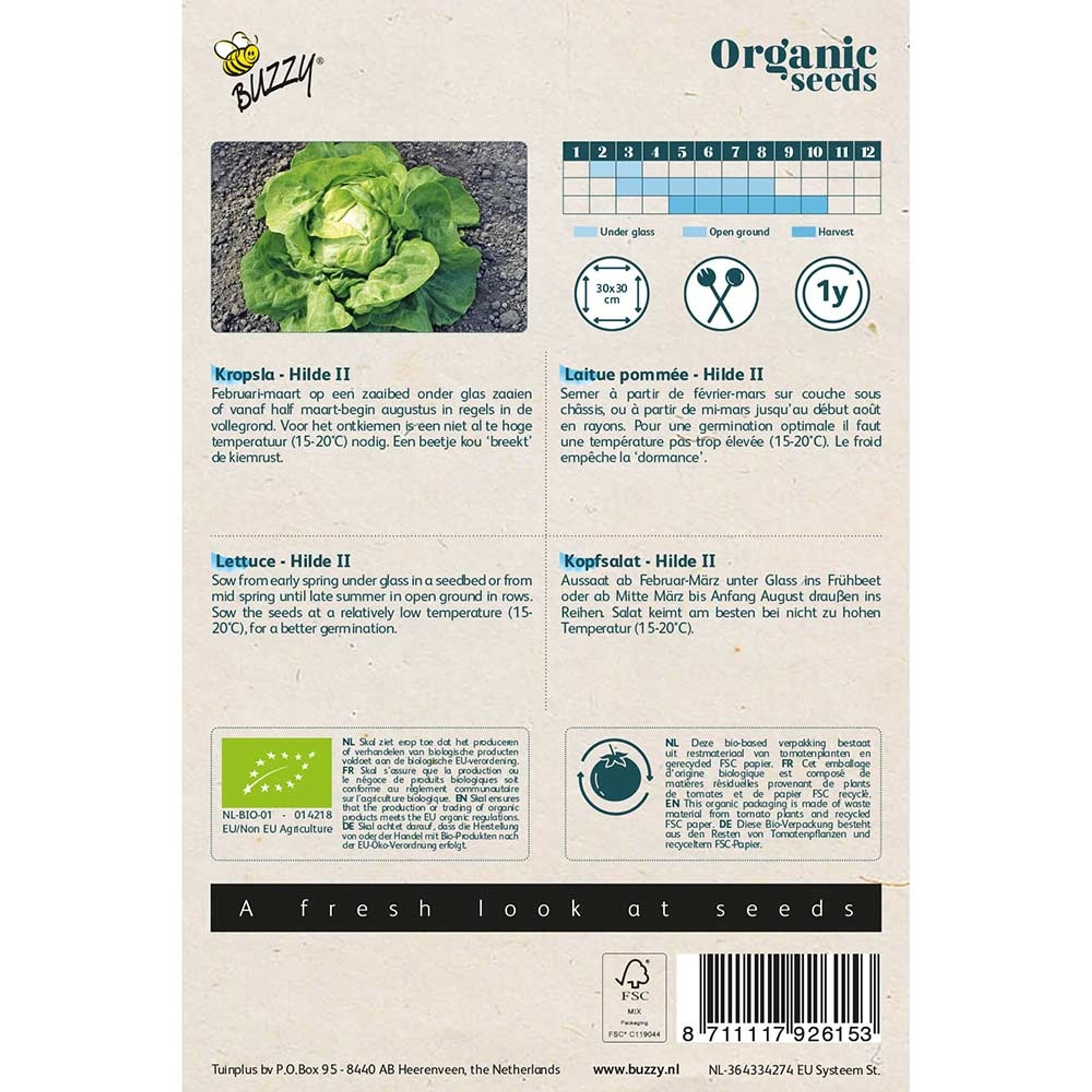 Buzzy® Organic Kopfsalat Hilde II (BIO) | Buzzy Bio Organic