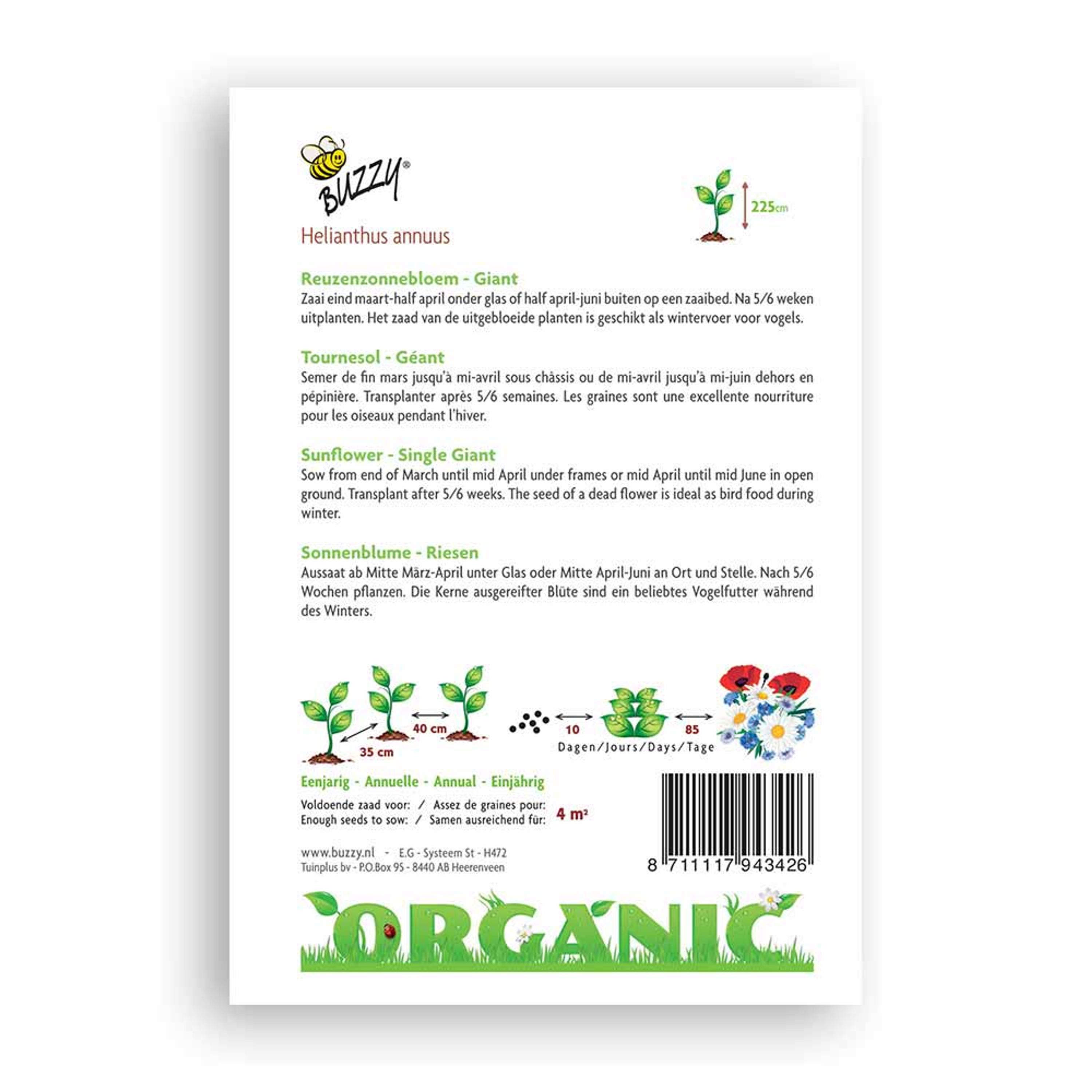 Buzzy® Organic Sonnenblume Riesen (BIO) | Buzzy Bio Organic